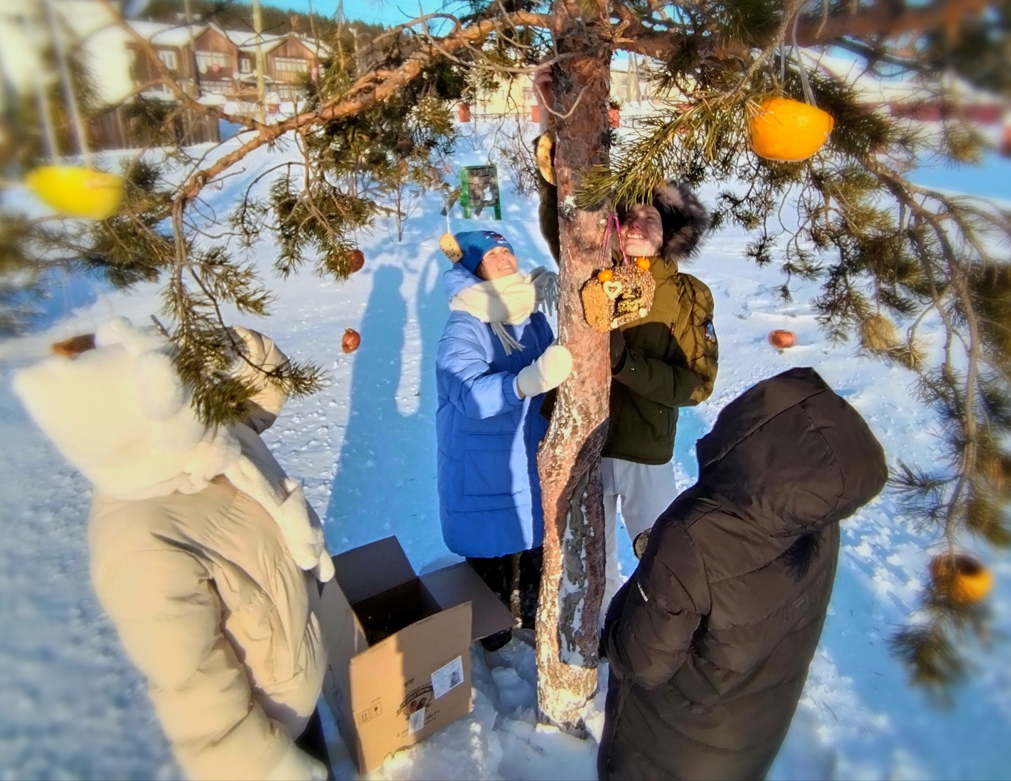 Природоохранная акция &amp;quot;Покорми птиц зимой&amp;quot;.